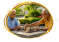 Carrom